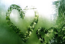 天涯论坛的别墅装修秘籍：那些你绝对不能错过的神贴！